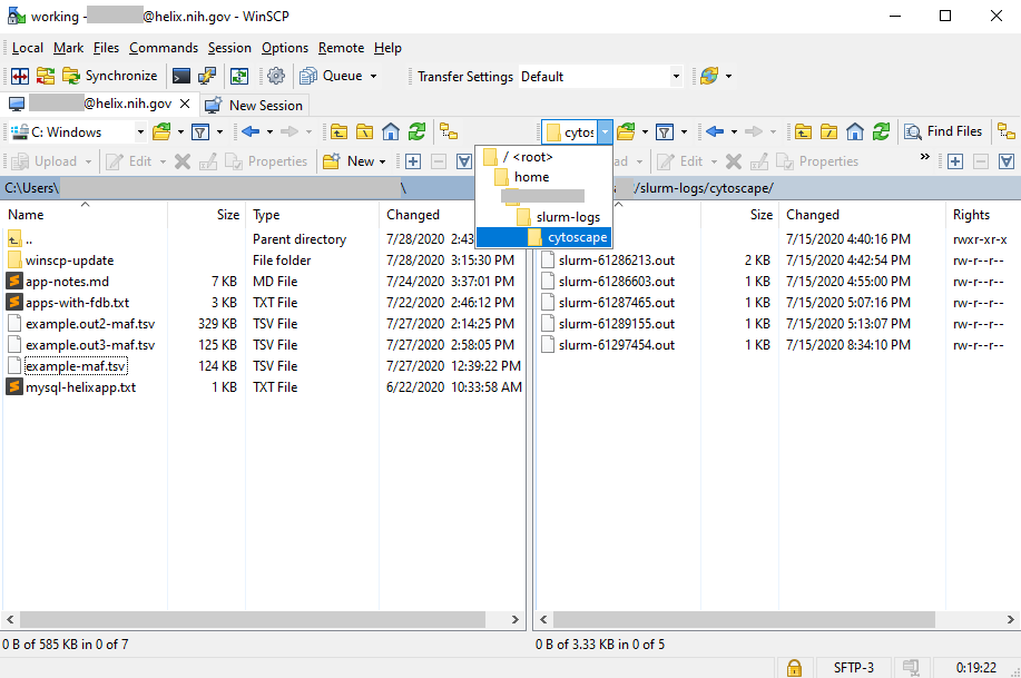 WinSCP Locate File Source