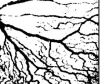 thumbnail image from paper