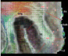 thumbnail image from paper