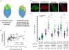 thumbnail image from paper