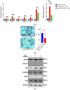 thumbnail image from paper