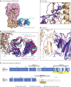 thumbnail image from paper