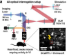 thumbnail image from paper
