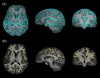 thumbnail image from paper