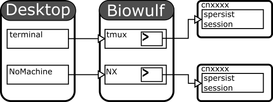spersist with tmux or NX