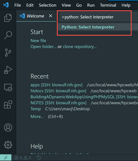 choose python interpreter