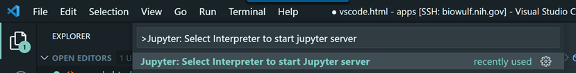 Select Jupyter Interpreter